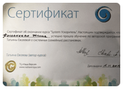 Сертификат 4 миниатюра